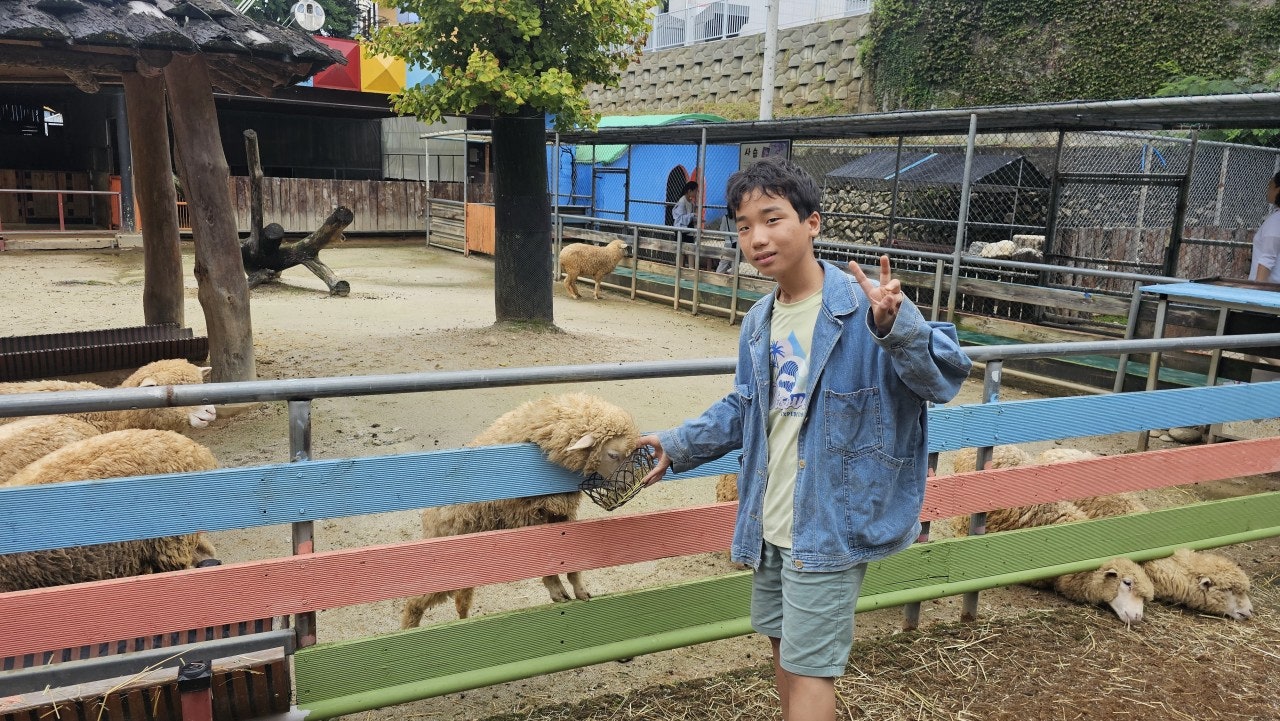 사용자가 올린 이미지