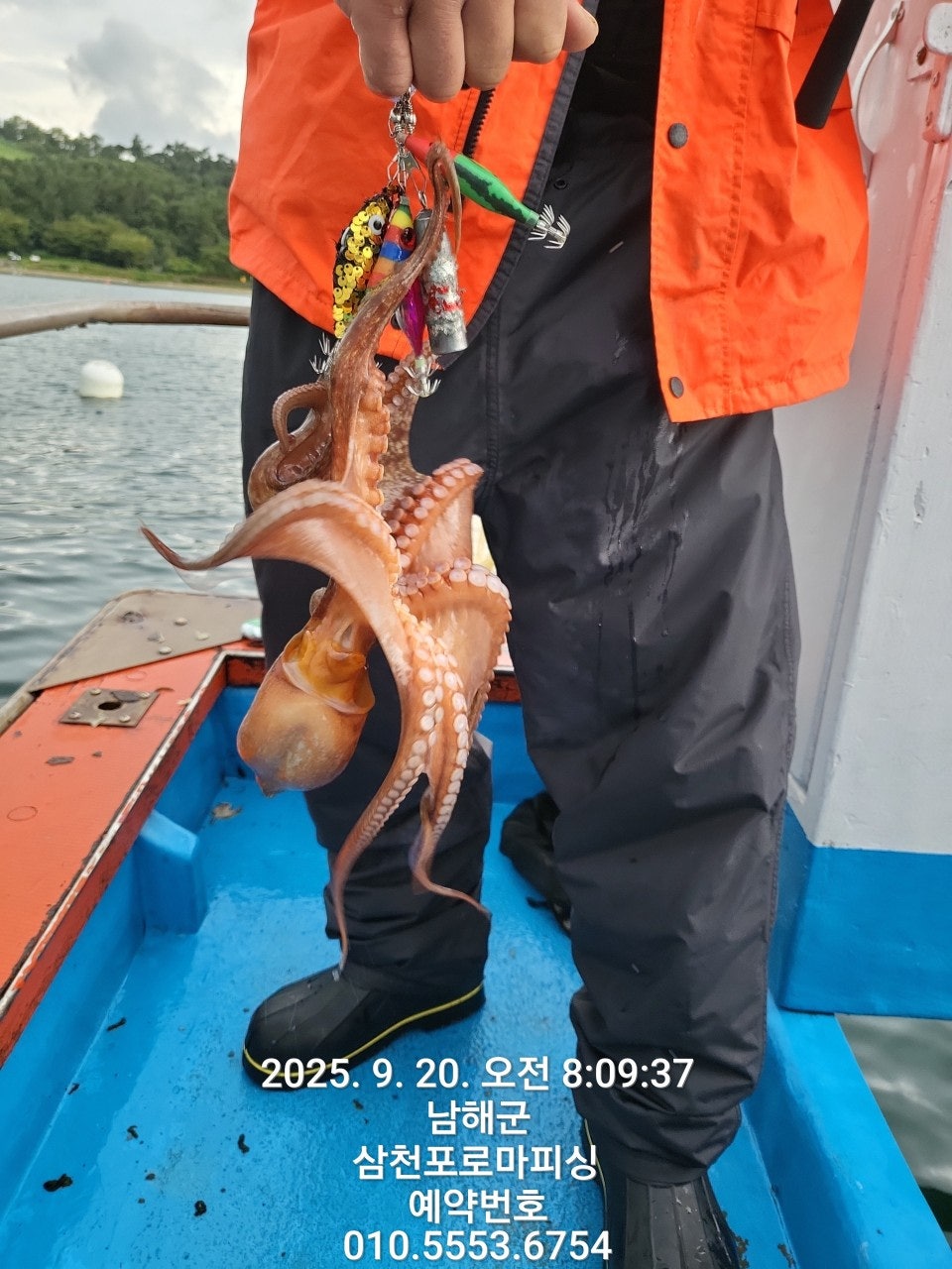 사용자가 올린 이미지