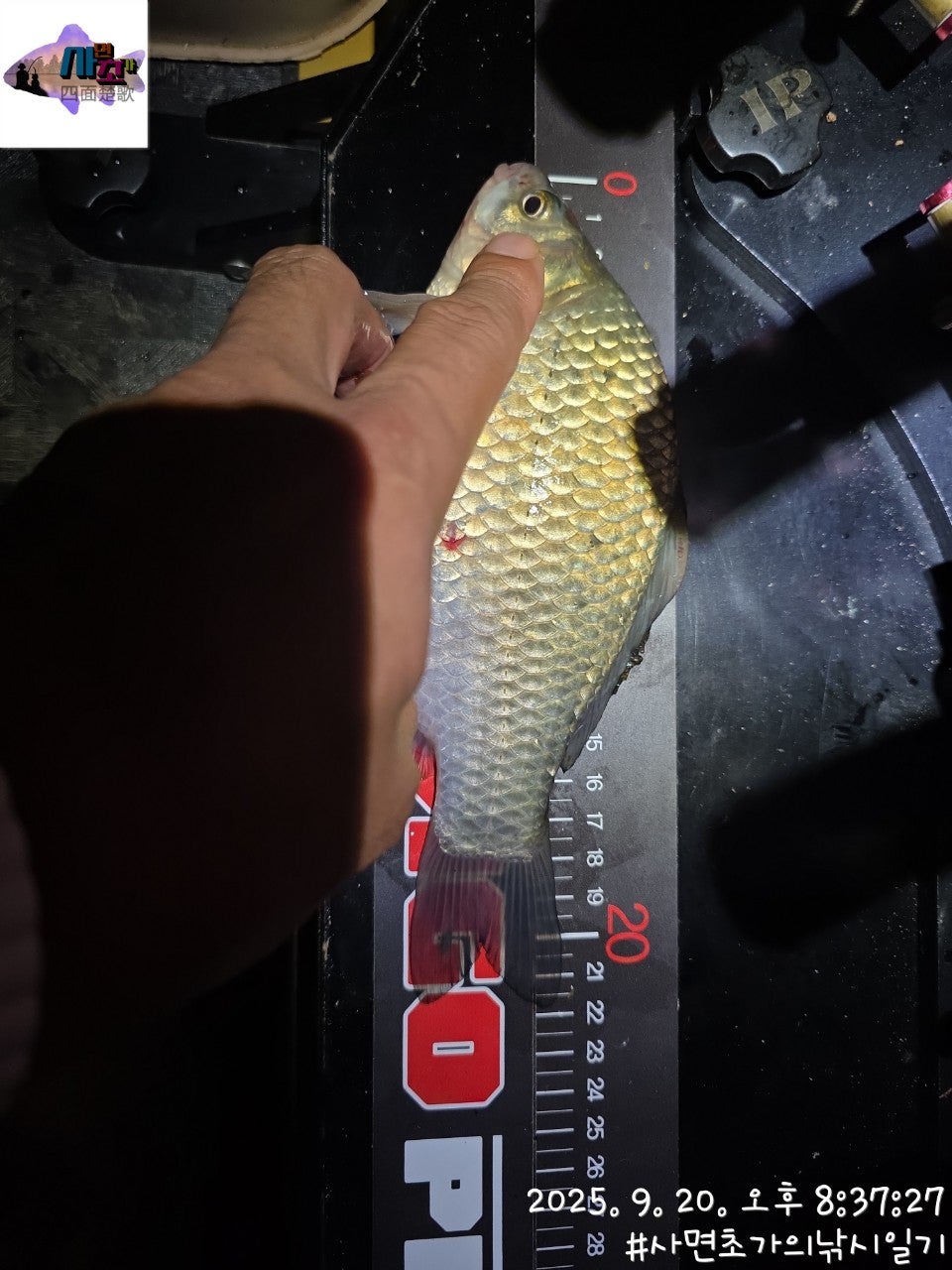 사용자가 올린 이미지