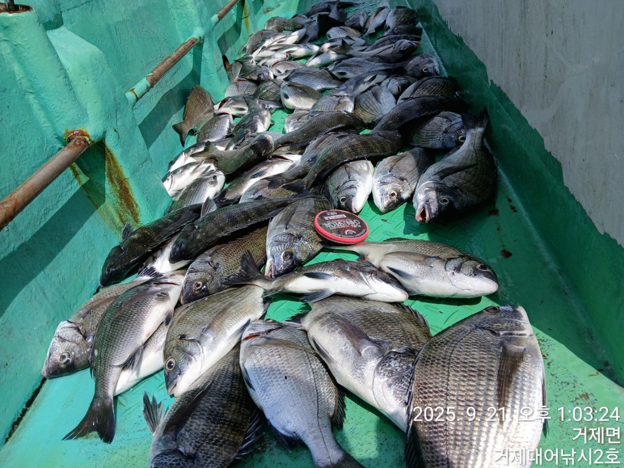 사용자가 올린 이미지