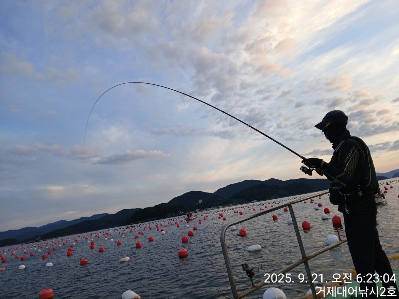 사용자가 올린 이미지