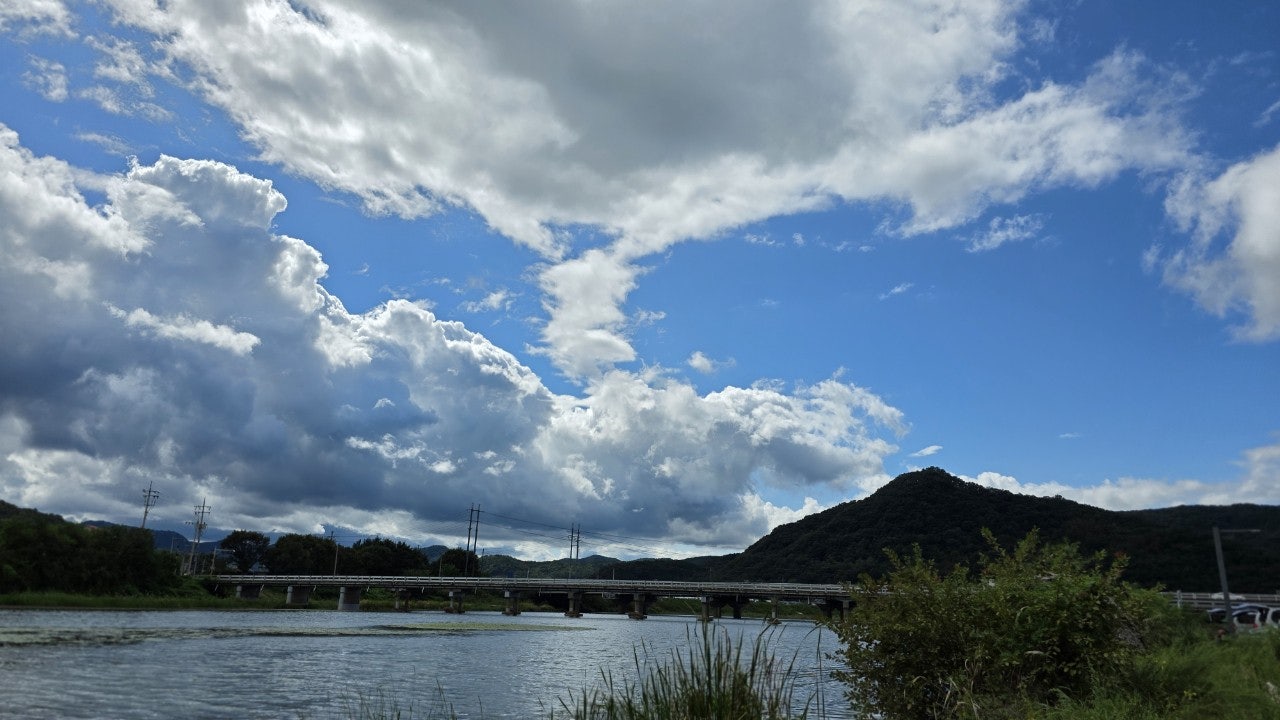 사용자가 올린 이미지