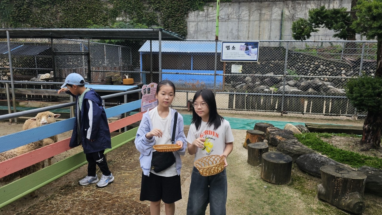 사용자가 올린 이미지