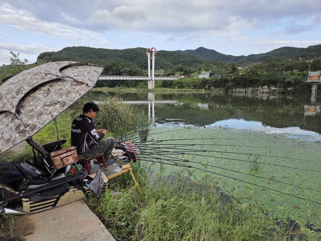 사용자가 올린 이미지