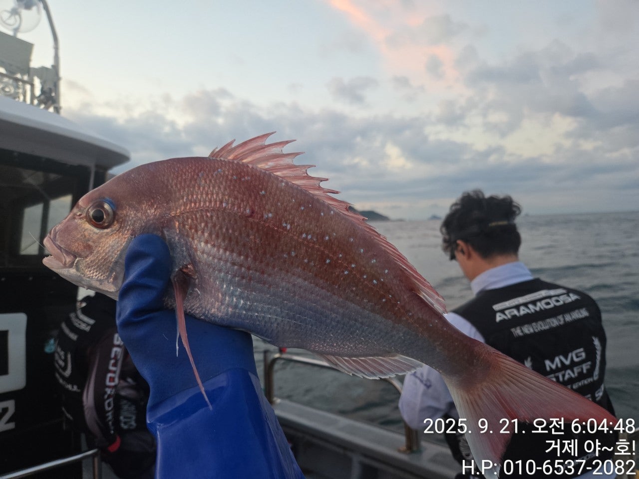 사용자가 올린 이미지