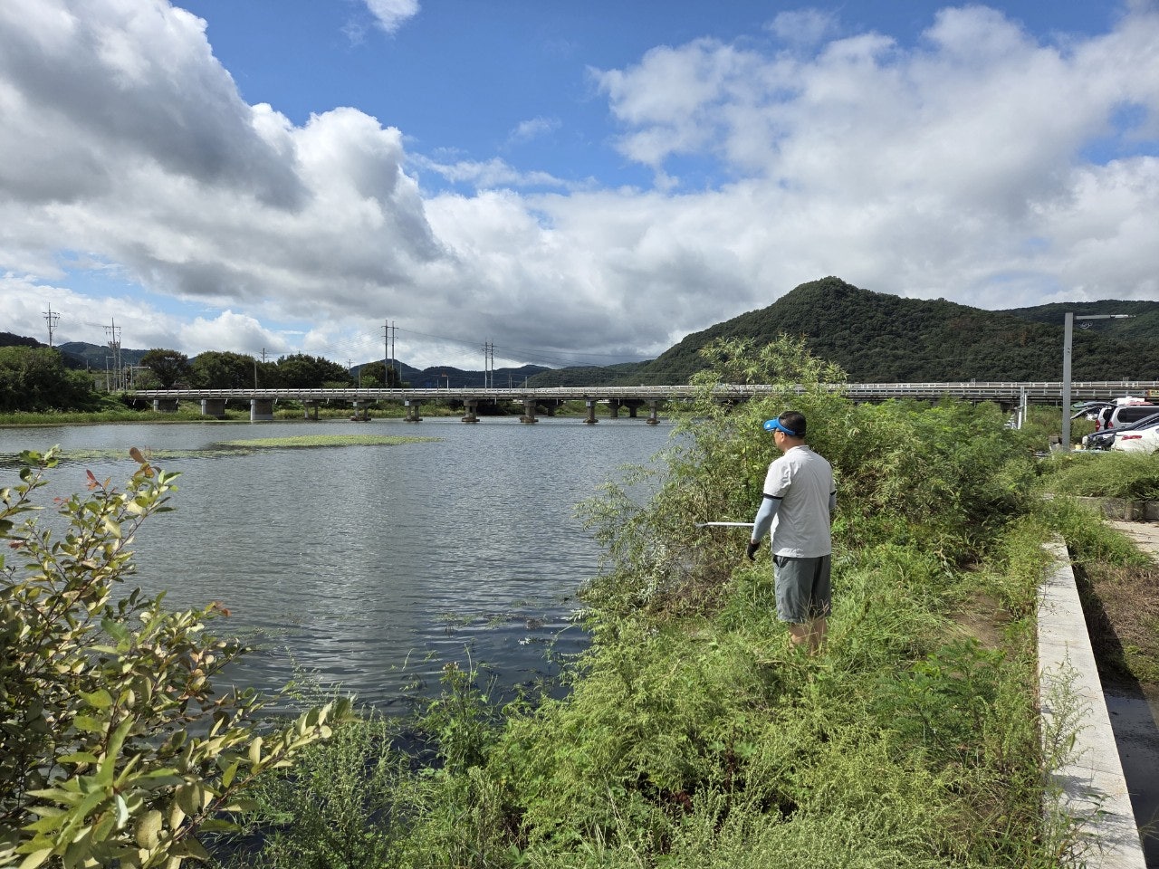 사용자가 올린 이미지