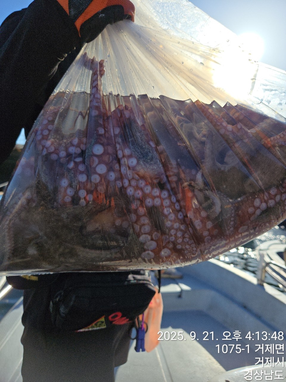 사용자가 올린 이미지