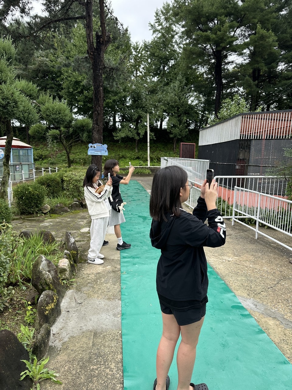 사용자가 올린 이미지