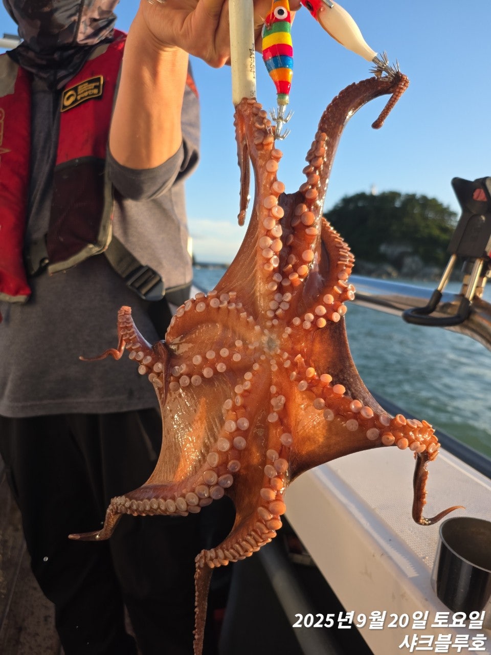 사용자가 올린 이미지