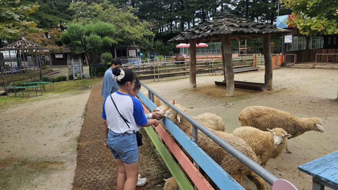 사용자가 올린 이미지