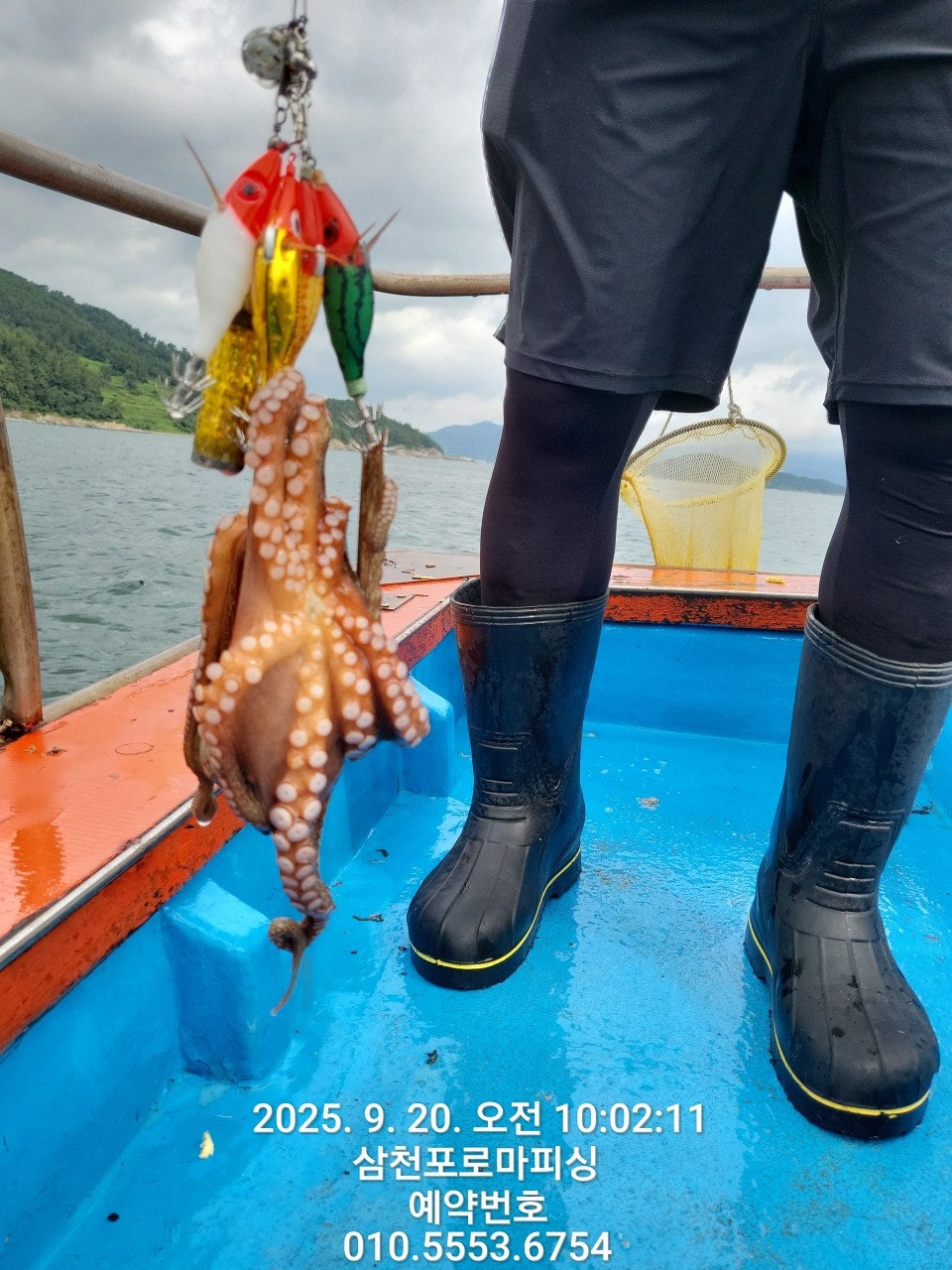 사용자가 올린 이미지