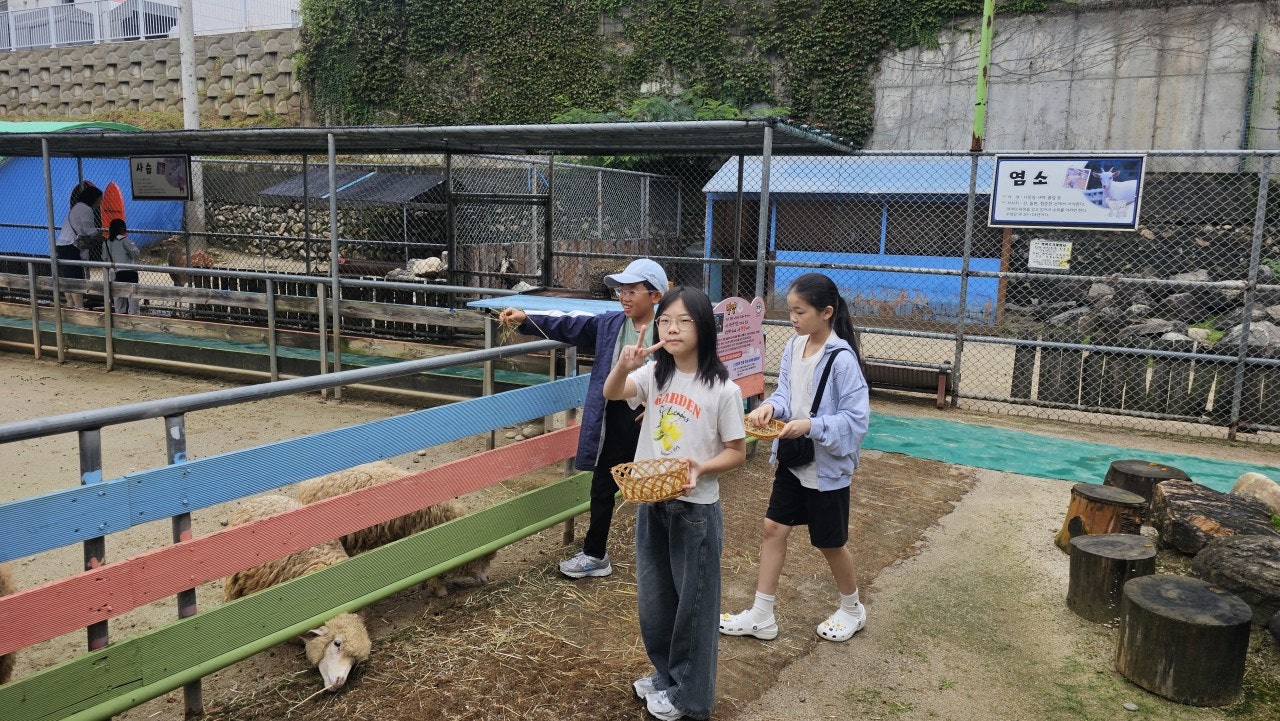 사용자가 올린 이미지