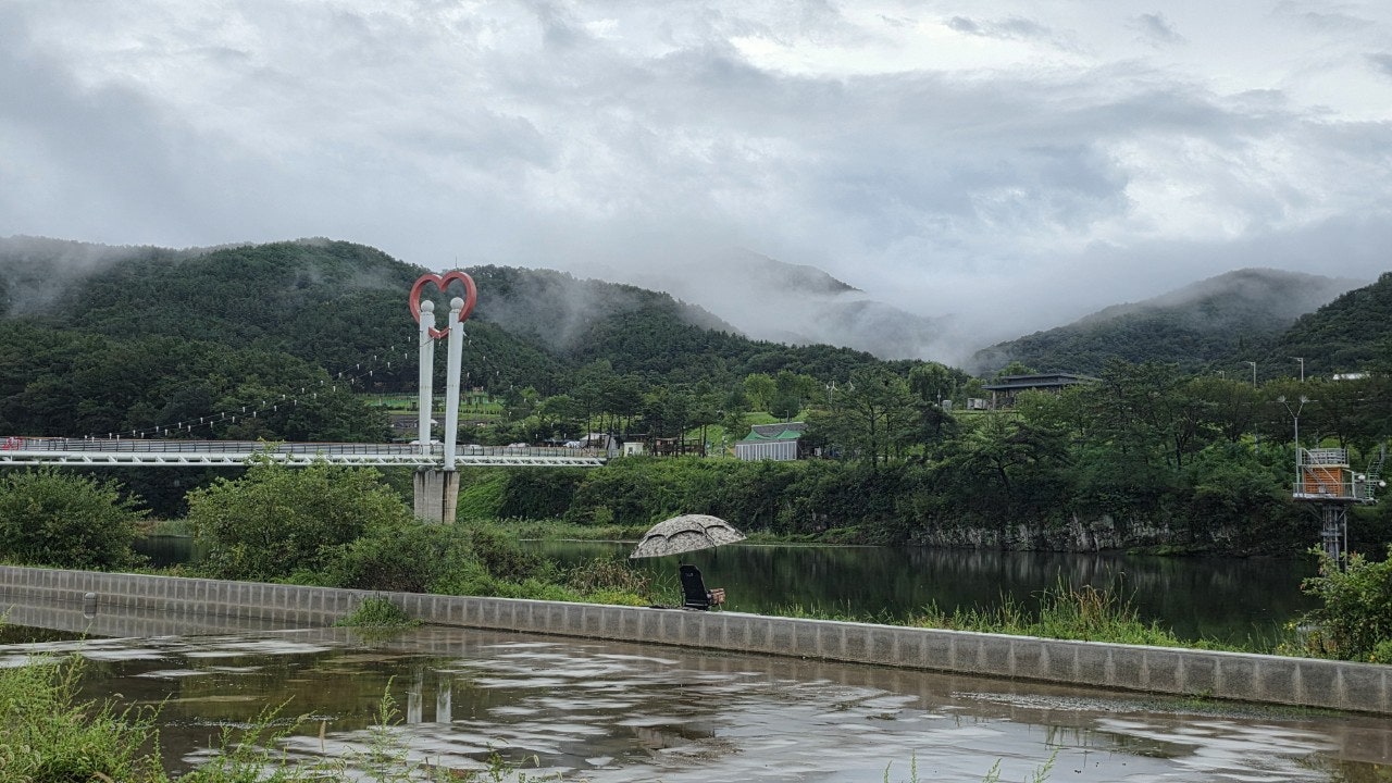 사용자가 올린 이미지