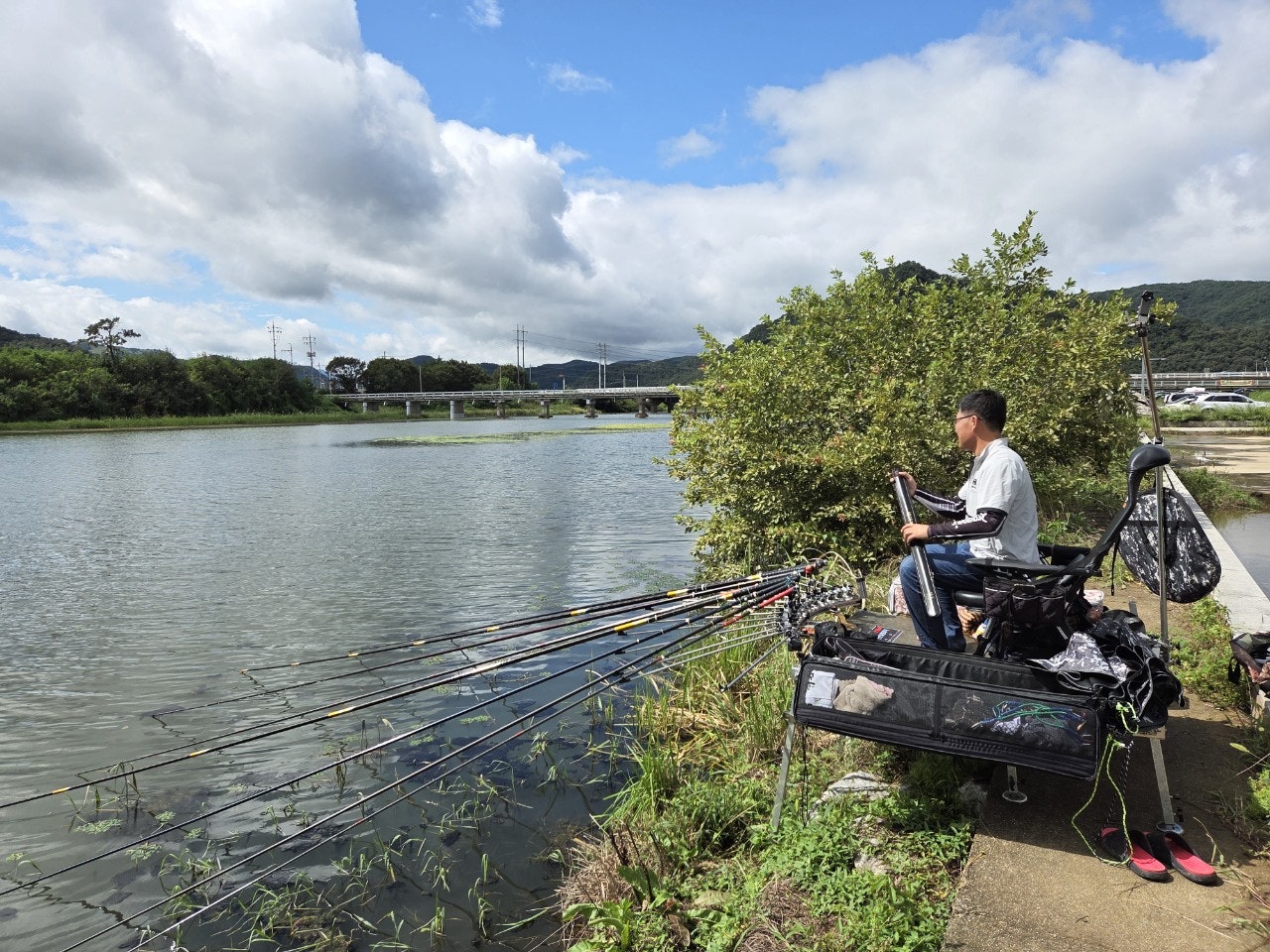 사용자가 올린 이미지