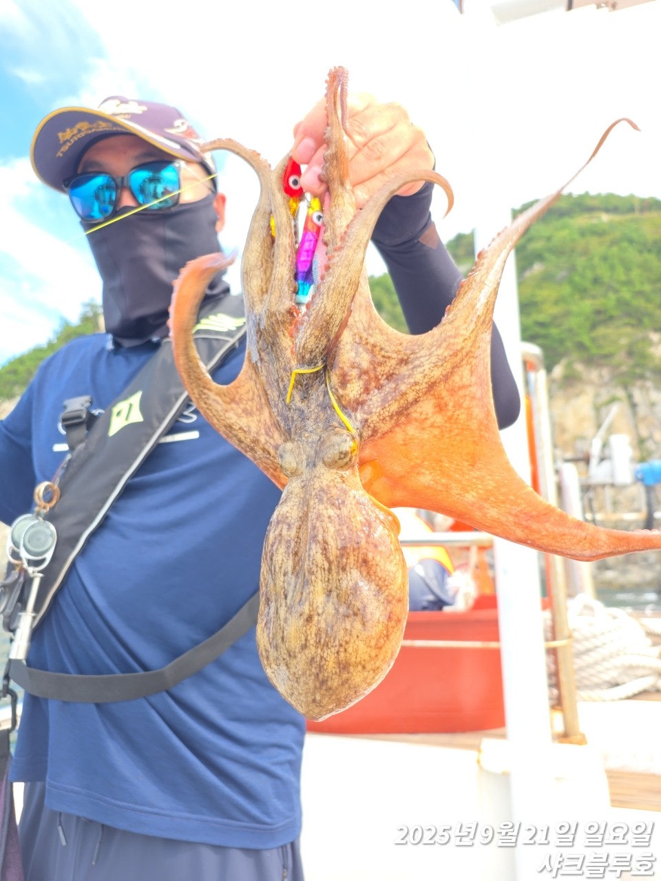 사용자가 올린 이미지