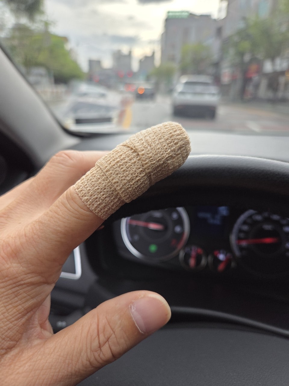 사용자가 올린 이미지