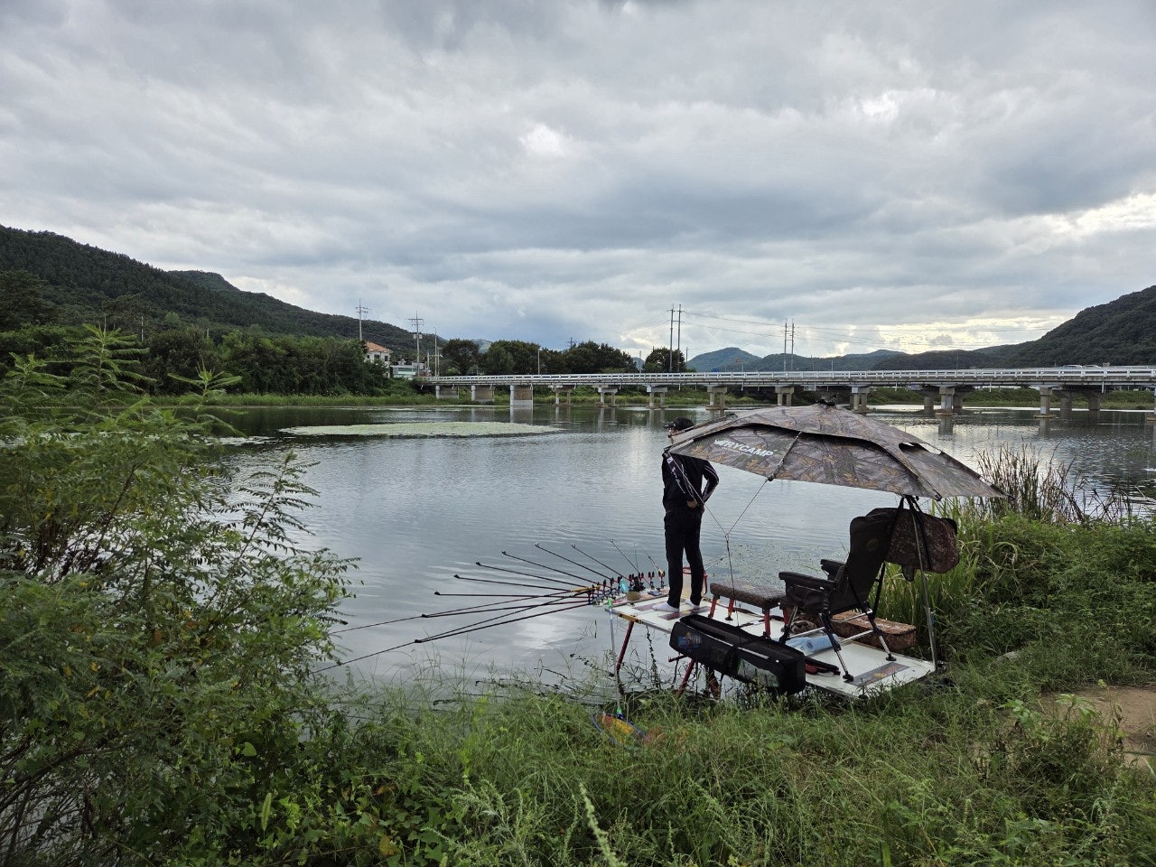 사용자가 올린 이미지