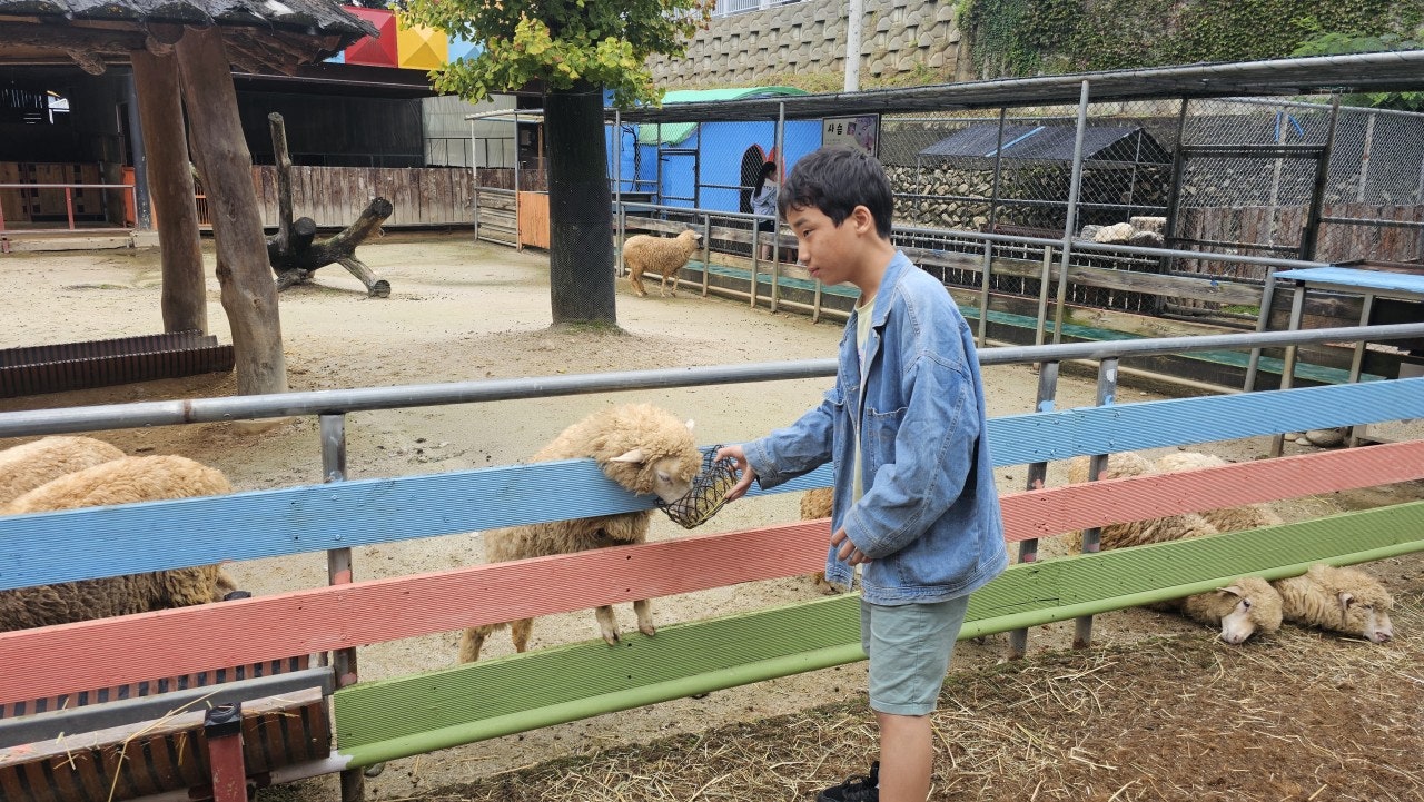 사용자가 올린 이미지