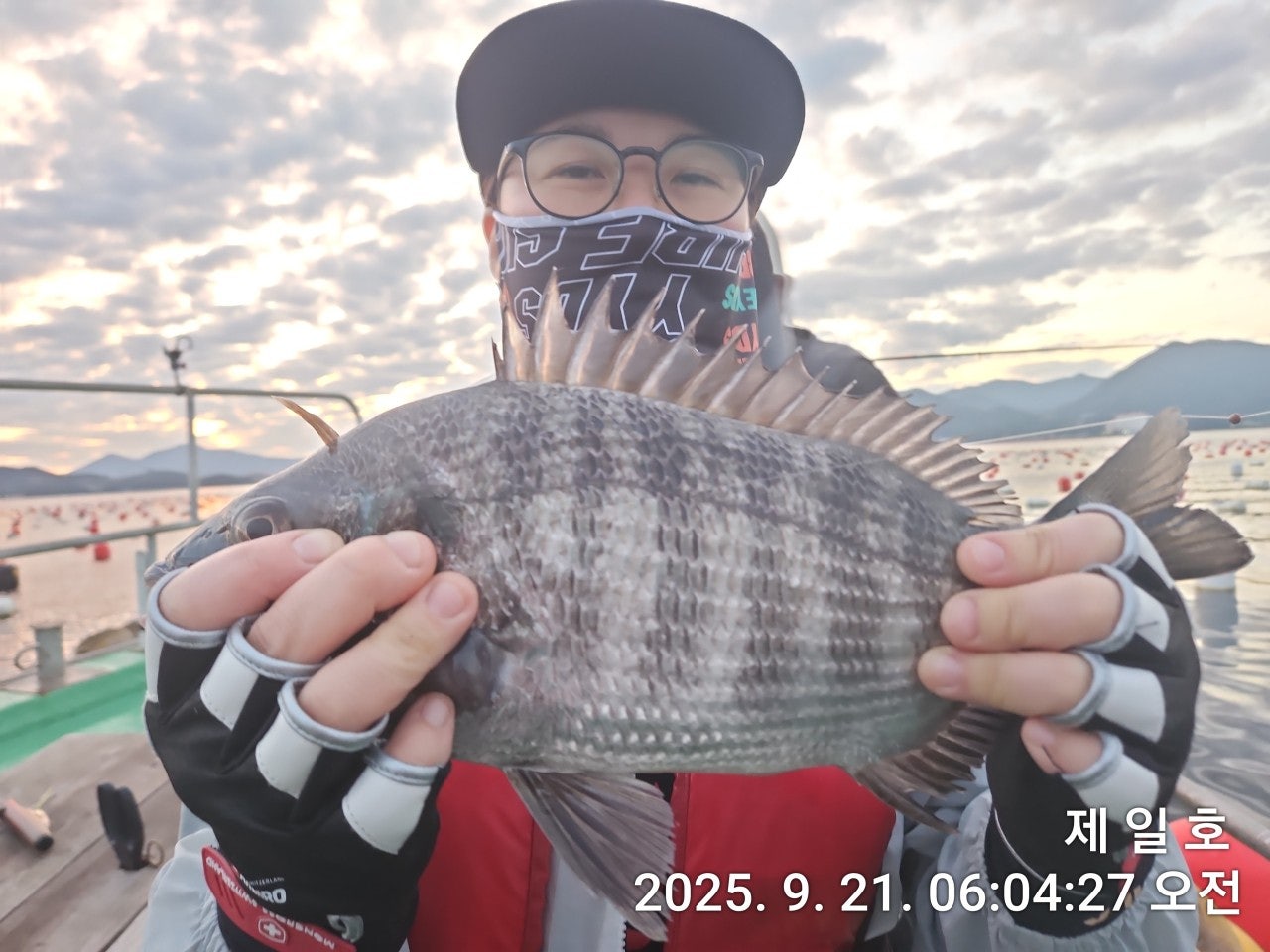 사용자가 올린 이미지