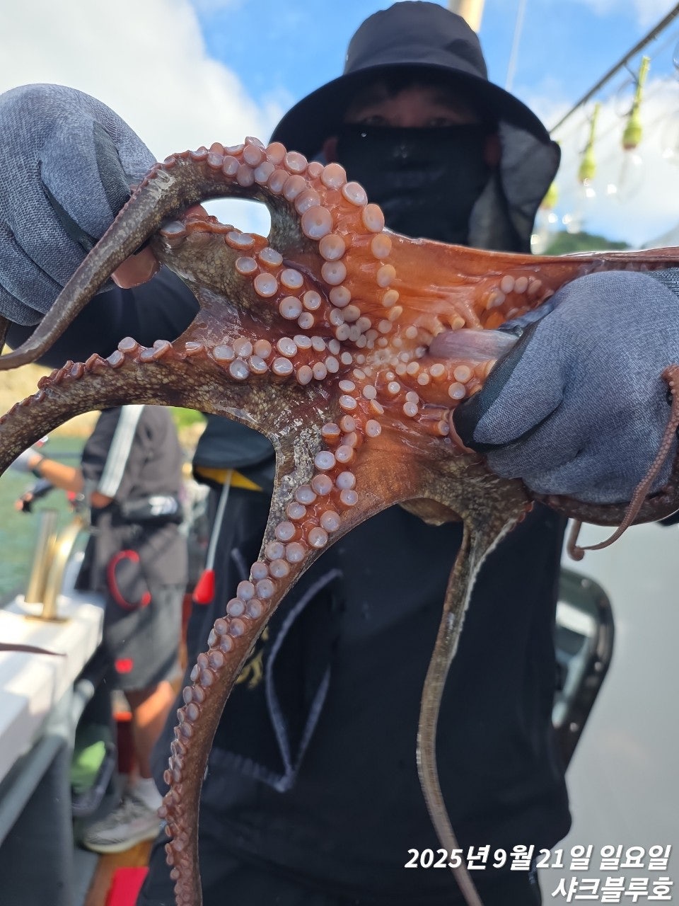 사용자가 올린 이미지