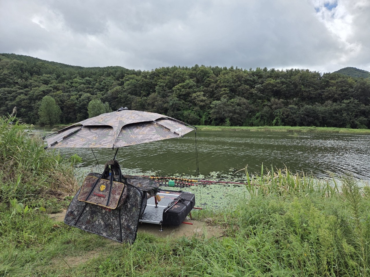 사용자가 올린 이미지