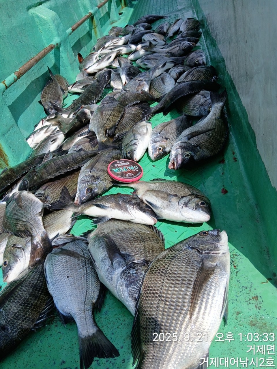 사용자가 올린 이미지