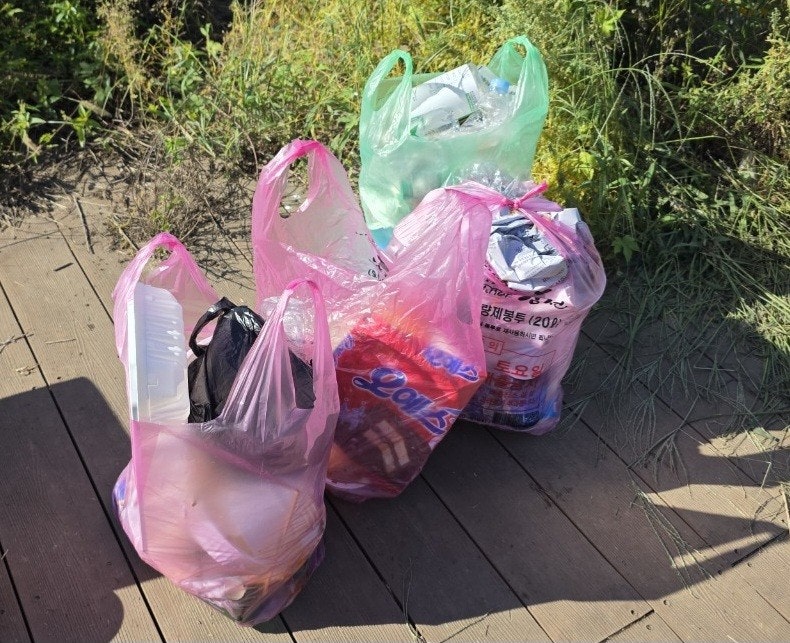 사용자가 올린 이미지