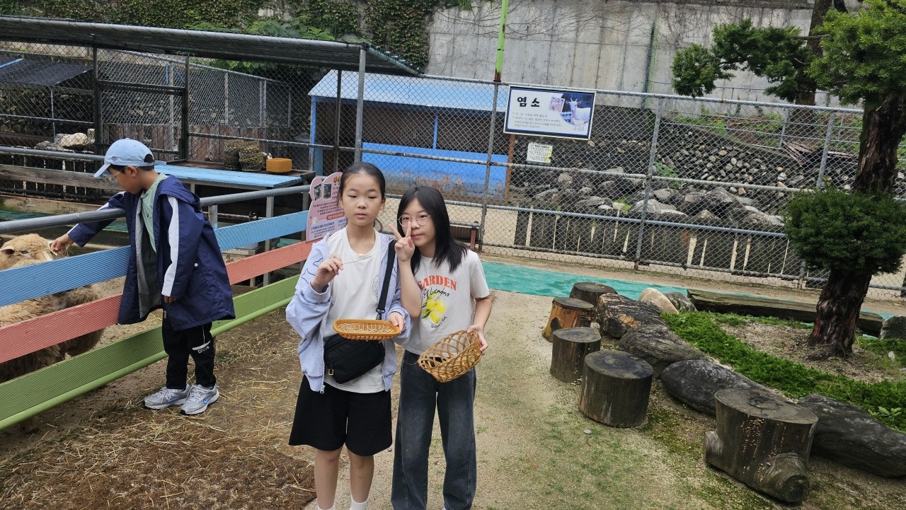 사용자가 올린 이미지