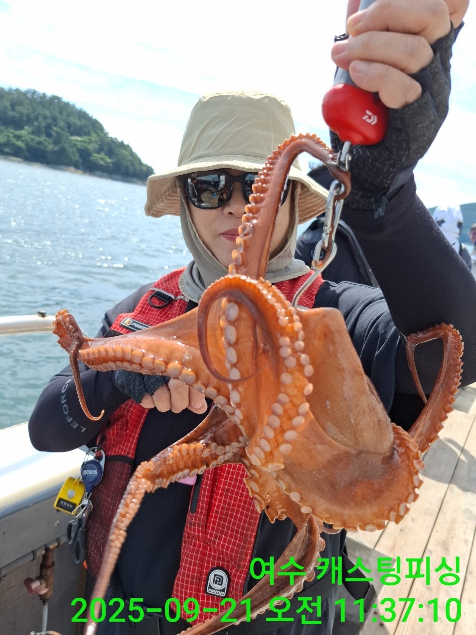 사용자가 올린 이미지
