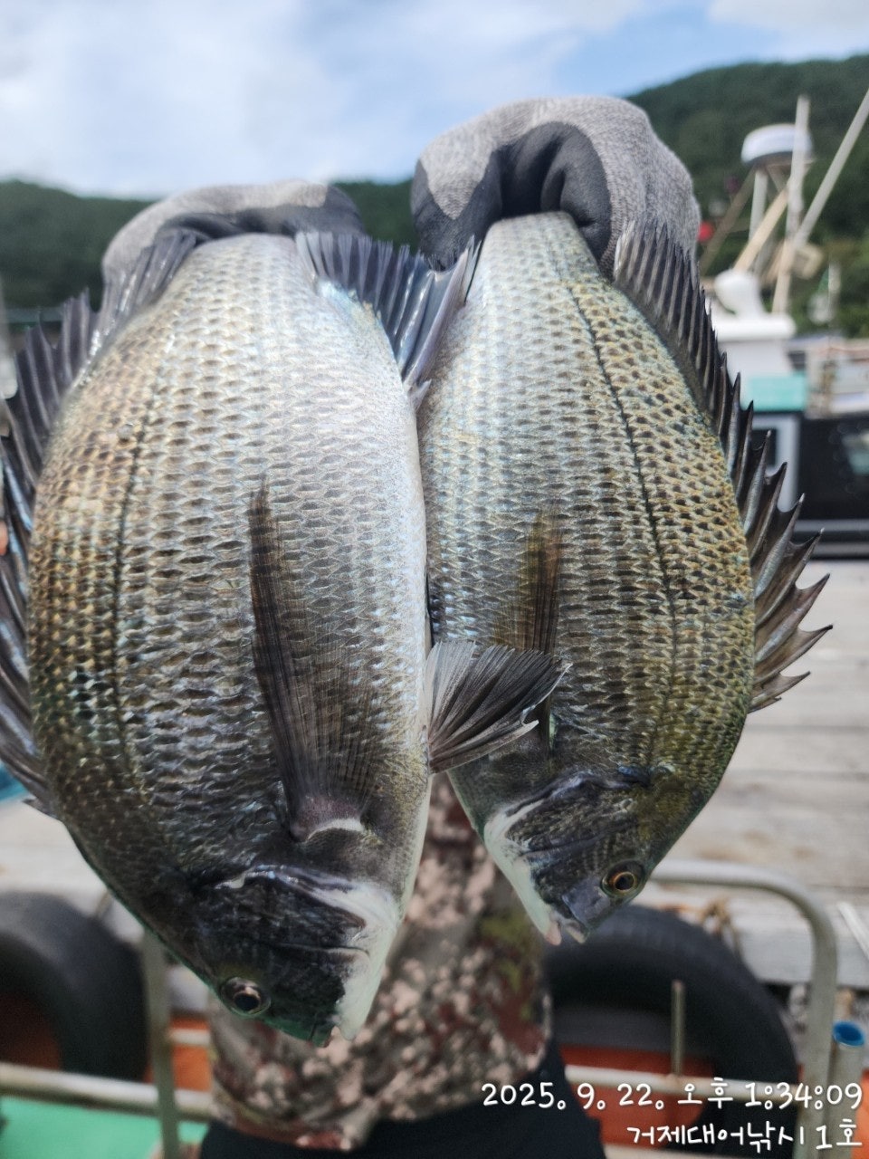 사용자가 올린 이미지