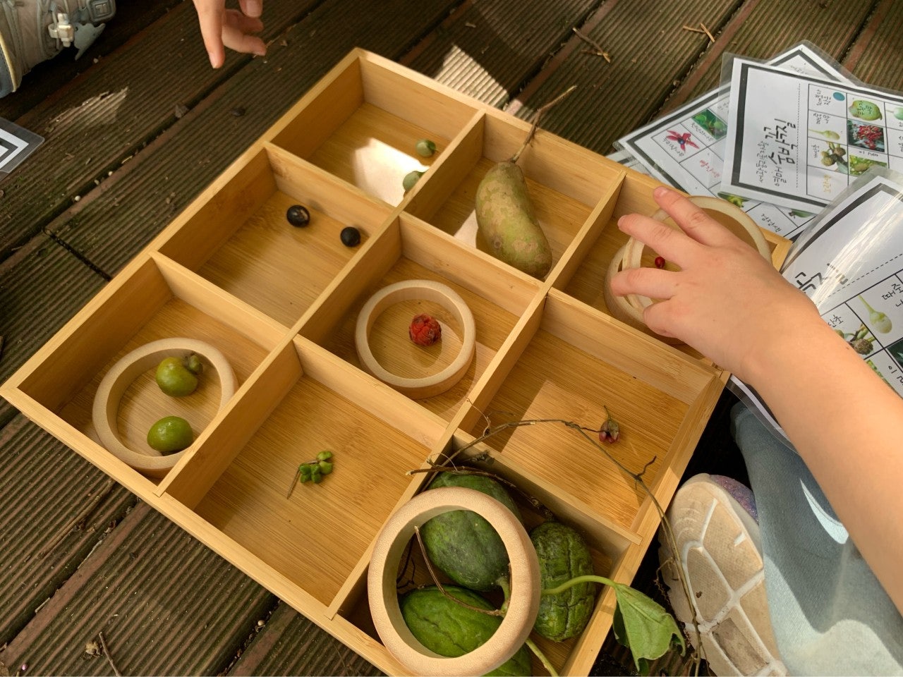 사용자가 올린 이미지