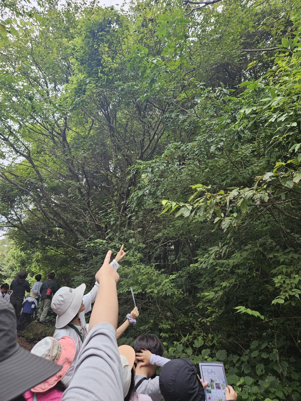 사용자가 올린 이미지