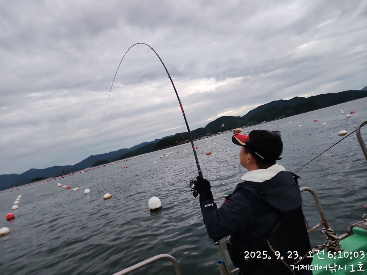 사용자가 올린 이미지