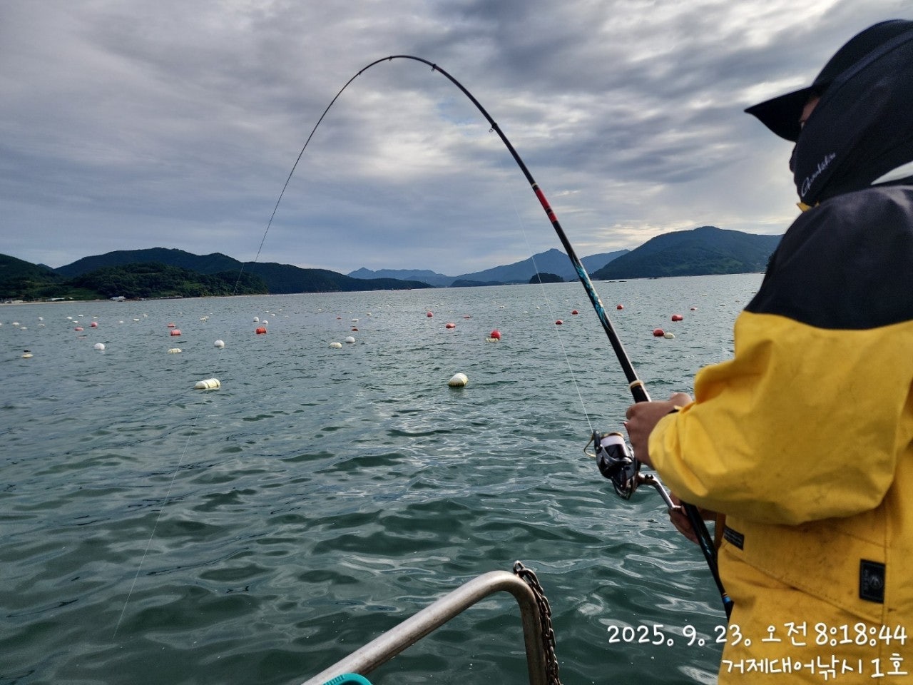 사용자가 올린 이미지