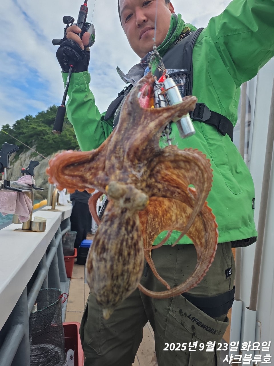 사용자가 올린 이미지