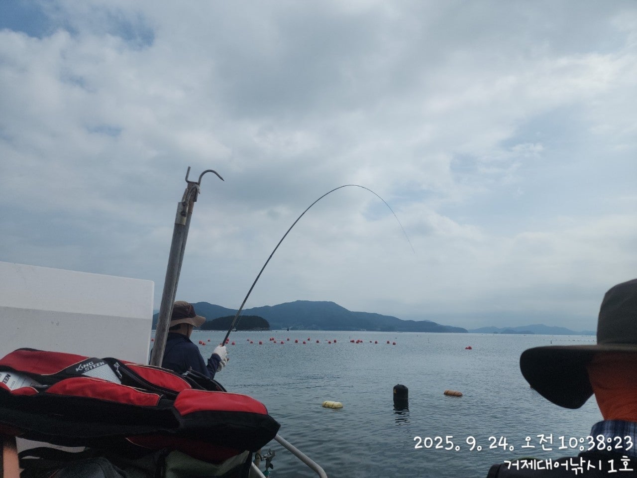 사용자가 올린 이미지