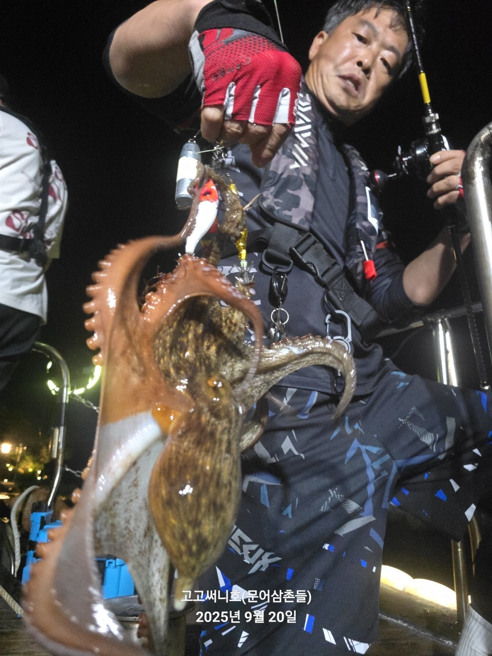 사용자가 올린 이미지