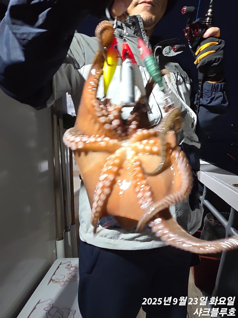 사용자가 올린 이미지