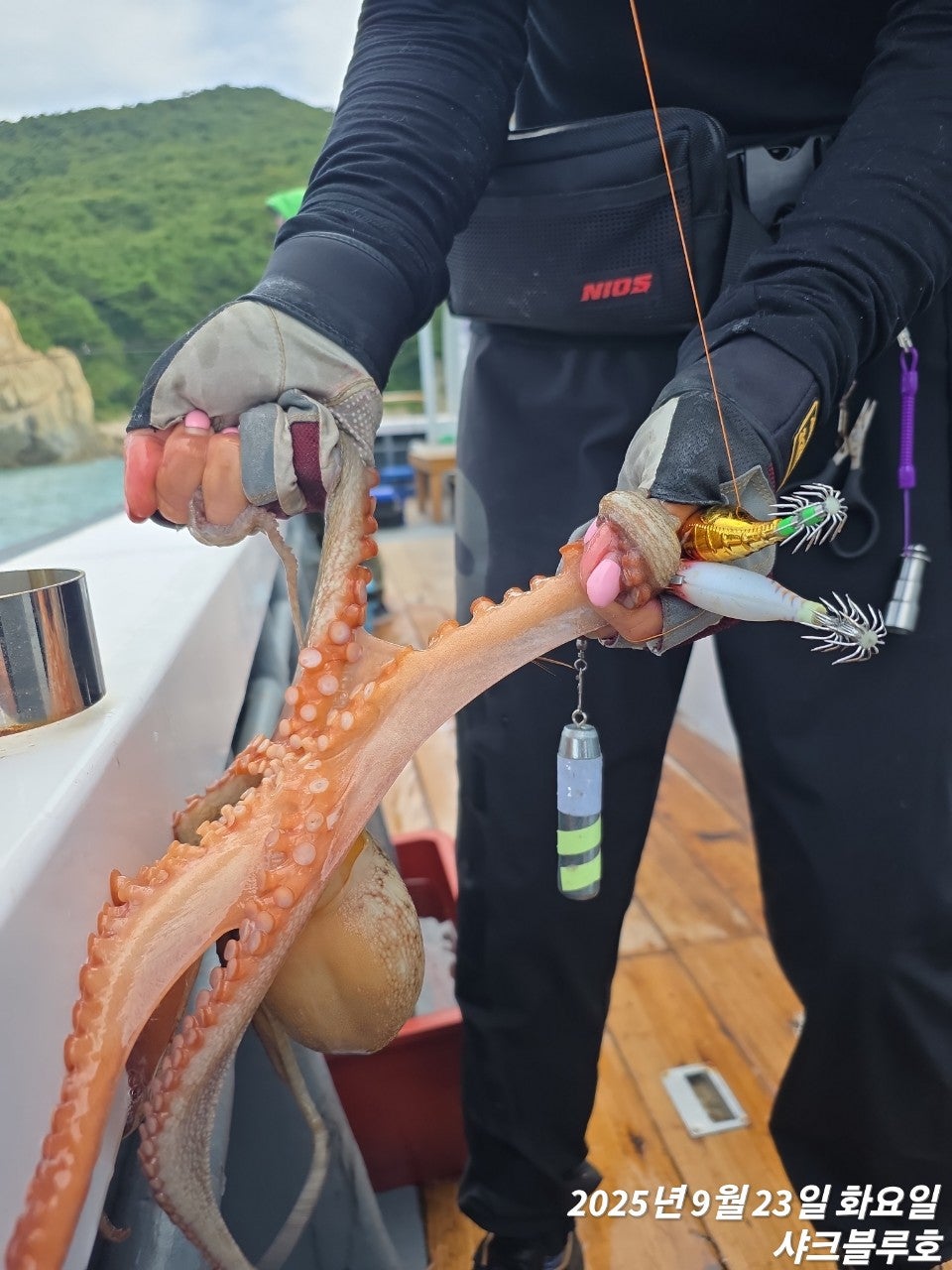 사용자가 올린 이미지