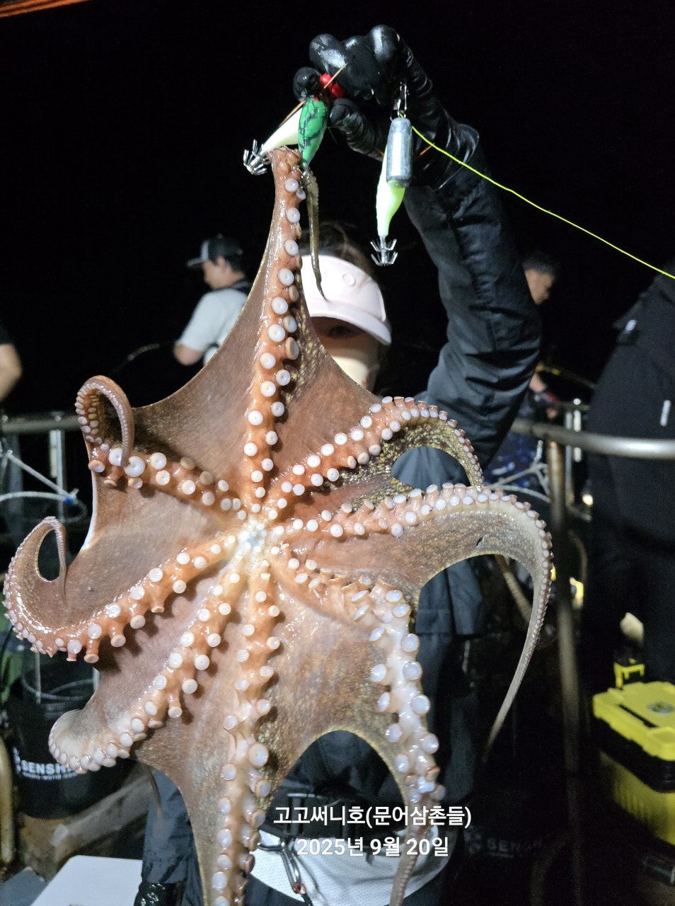 사용자가 올린 이미지