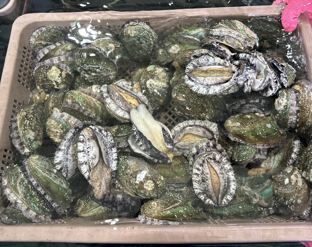 사용자가 올린 이미지