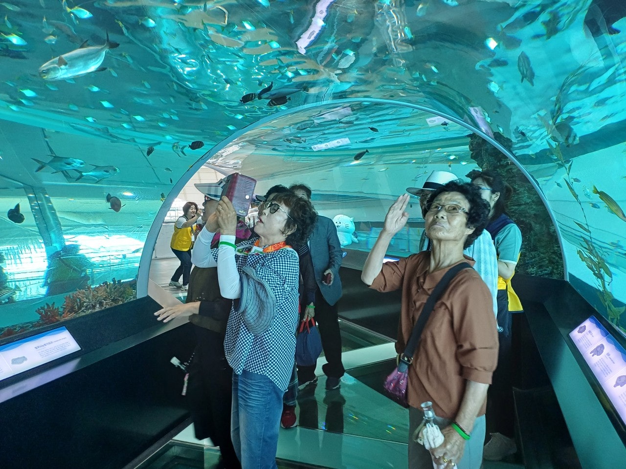 사용자가 올린 이미지