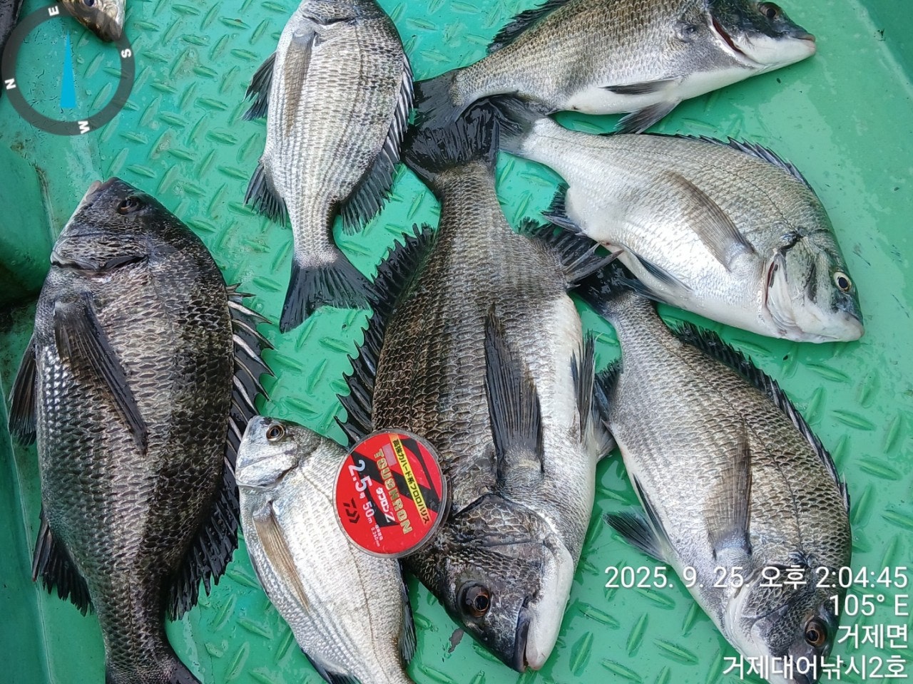 사용자가 올린 이미지