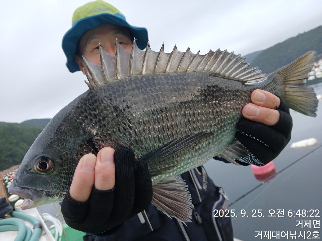 사용자가 올린 이미지