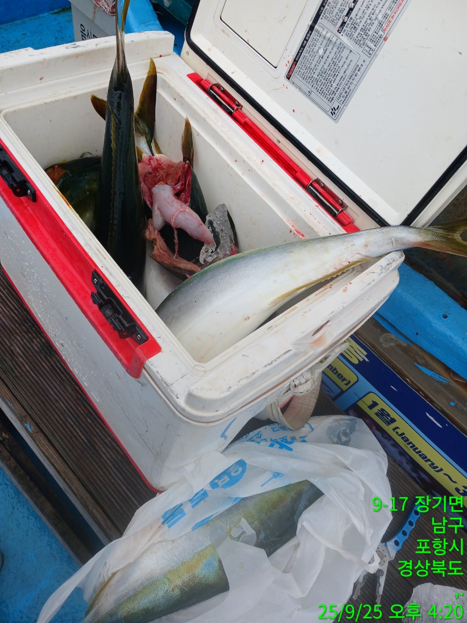 g_g09Ud018svc1xp86ys43pmo_9bt2m0.jpg