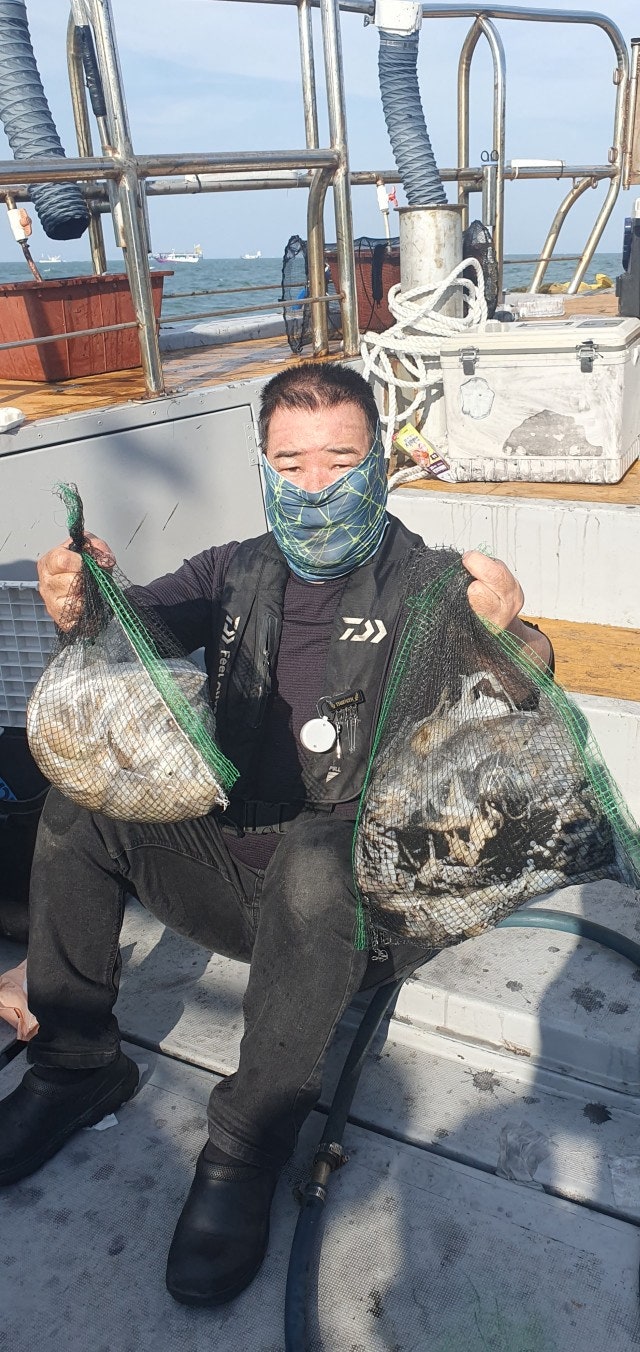 사용자가 올린 이미지