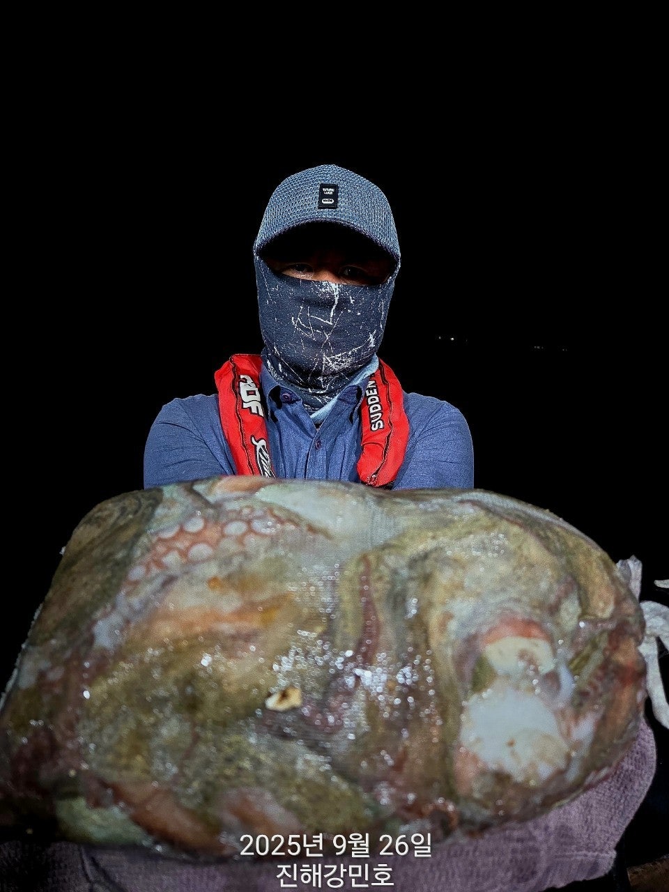 사용자가 올린 이미지