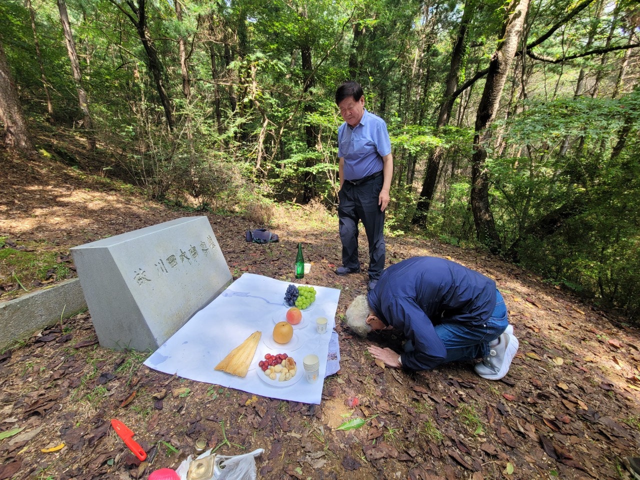 사용자가 올린 이미지