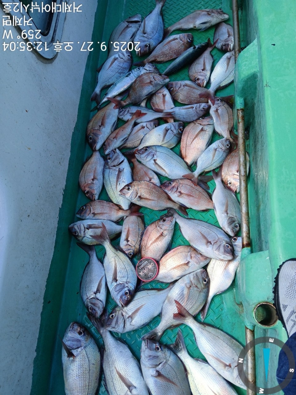 사용자가 올린 이미지