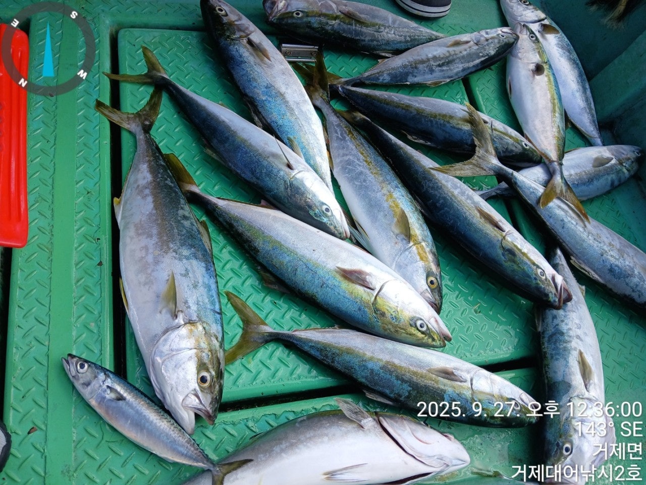 사용자가 올린 이미지